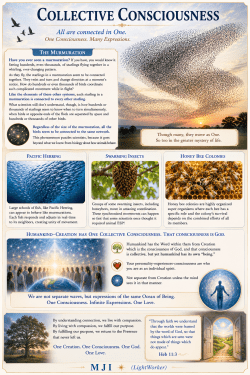 Collective Consciousness